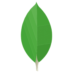 Mongodb